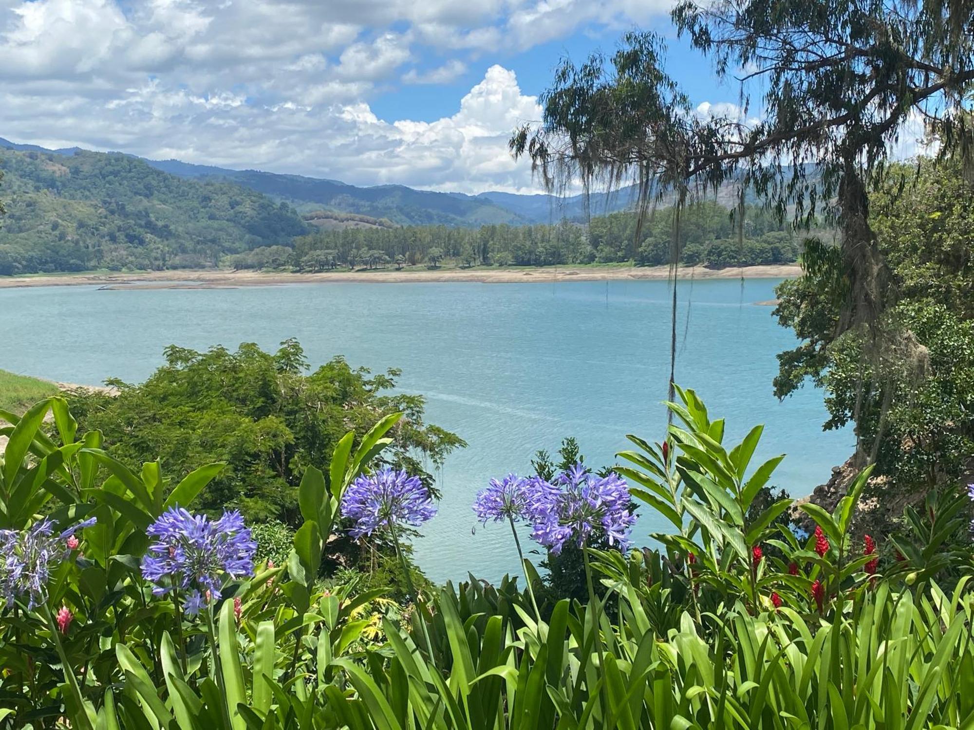 Hotel Boutique Casona Del Cafetal And Lakeside Restaurant Cachí 外观 照片