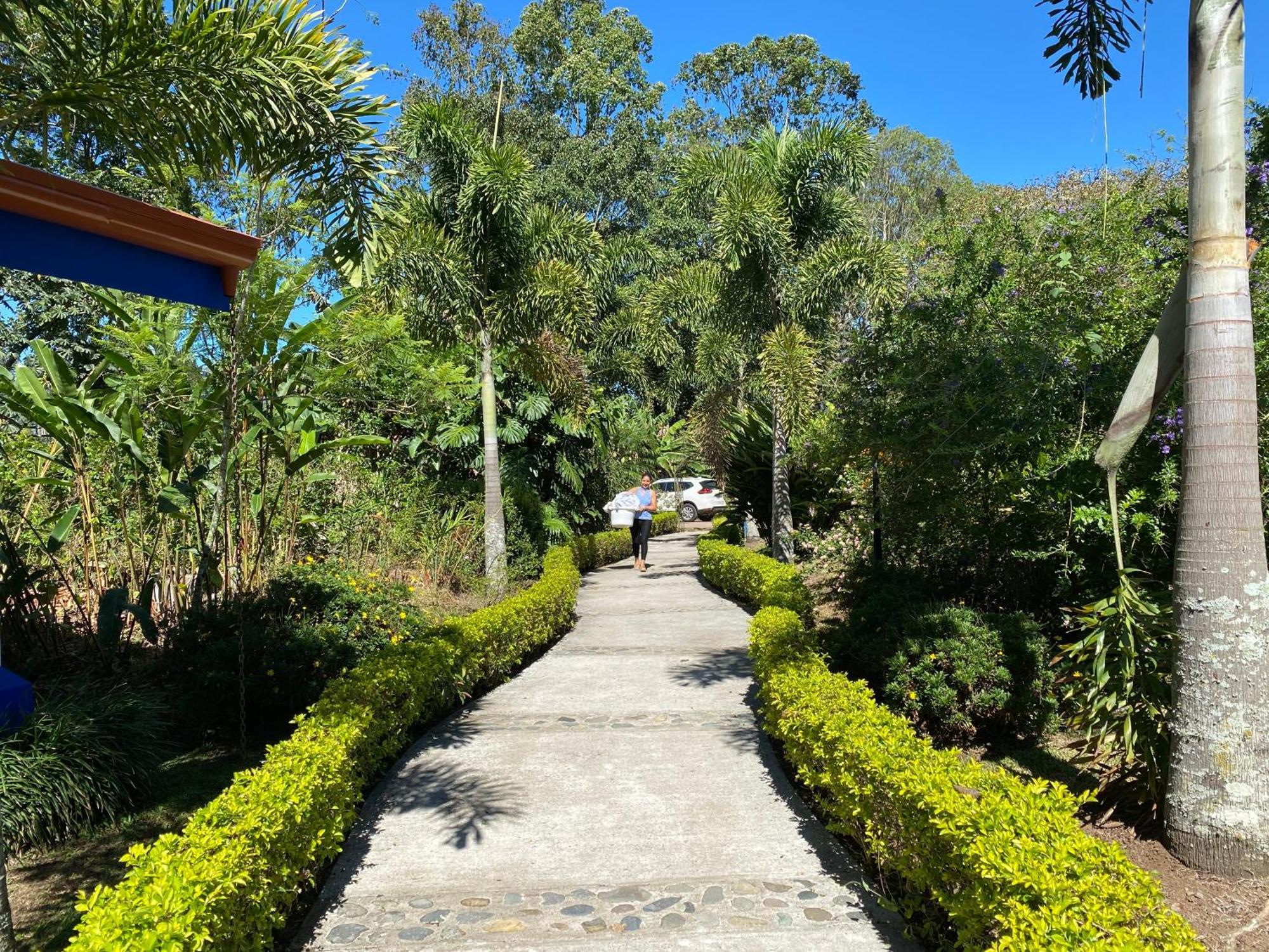 Hotel Boutique Casona Del Cafetal And Lakeside Restaurant Cachí 外观 照片